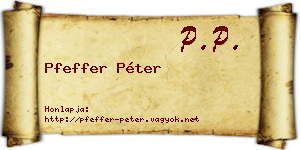 Pfeffer Péter névjegykártya